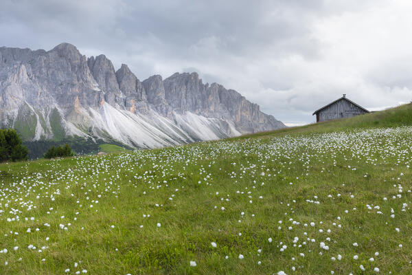 Typical chalet near Passo delle Erbe, with Odle di Eores  in the background, Dolomites,Europe, Italy, South Tyrol, Bolzano