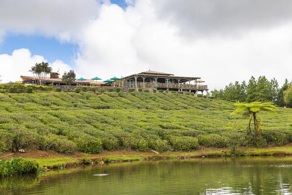 The tea plantations and the restaurant of Bois Cheri tea factory. Bois Cheri, Savanne, Mauritius, Africa