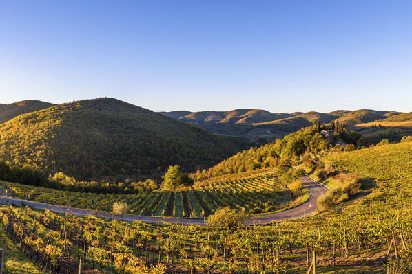 Greve in Chianti, Florence province, Tuscany, Italy. Farmhouse and vineyards at sunrise