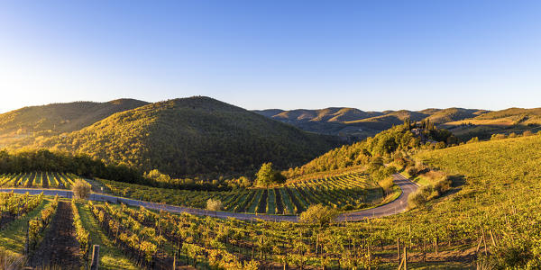 Greve in Chianti, Florence province, Tuscany, Italy. Farmhouse and vineyards at sunrise