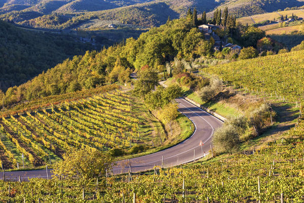 Greve in Chianti, Florence province, Tuscany, Italy. Farmhouse and vineyards at sunrise