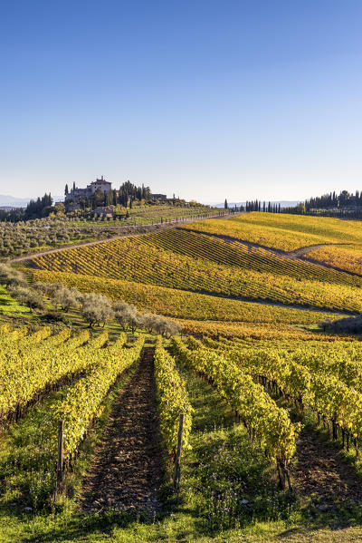 Farmhouse surrounded by vineyards. Gaiole in Chianti, Siena province, Tuscany, Italy.