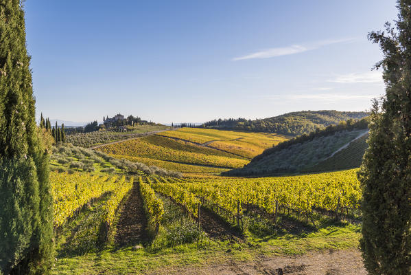 Farmhouse surrounded by vineyards. Gaiole in Chianti, Siena province, Tuscany, Italy.