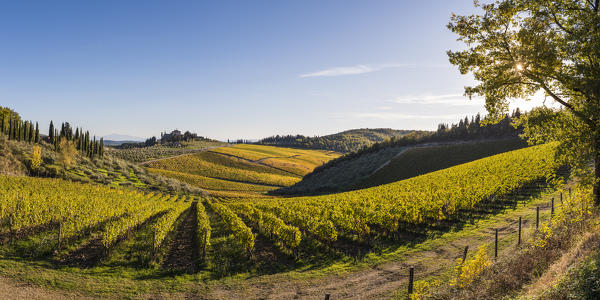 Farmhouse surrounded by vineyards. Gaiole in Chianti, Siena province, Tuscany, Italy.