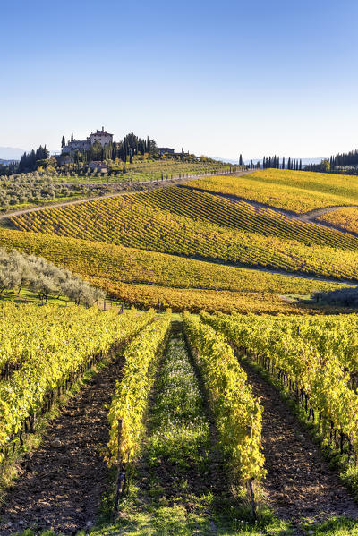 Farmhouse surrounded by vineyards. Gaiole in Chianti, Siena province, Tuscany, Italy.