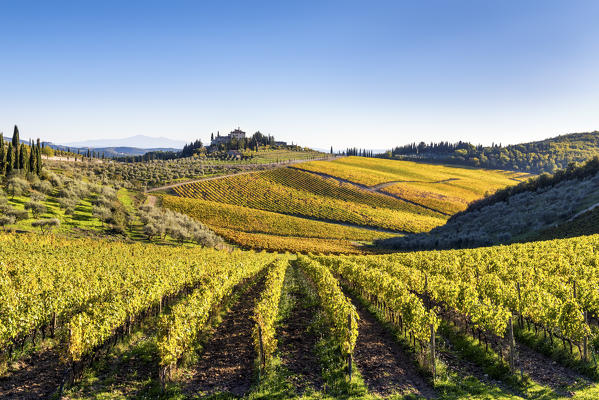 Farmhouse surrounded by vineyards. Gaiole in Chianti, Siena province, Tuscany, Italy.