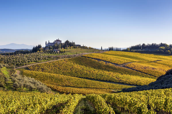 Farmhouse surrounded by vineyards. Gaiole in Chianti, Siena province, Tuscany, Italy.