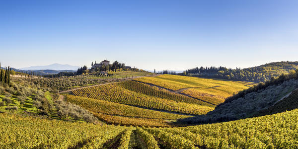 Farmhouse surrounded by vineyards. Gaiole in Chianti, Siena province, Tuscany, Italy.