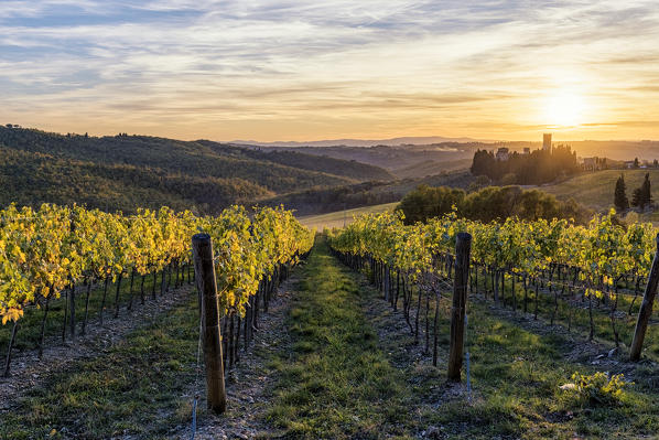 Badia a Passignano at sunset. Tavernelle Val di Pesa, Florence province, Tuscany, Italy