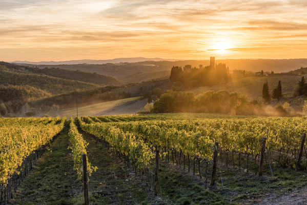 Badia a Passignano at sunset. Tavernelle Val di Pesa, Florence province, Tuscany, Italy