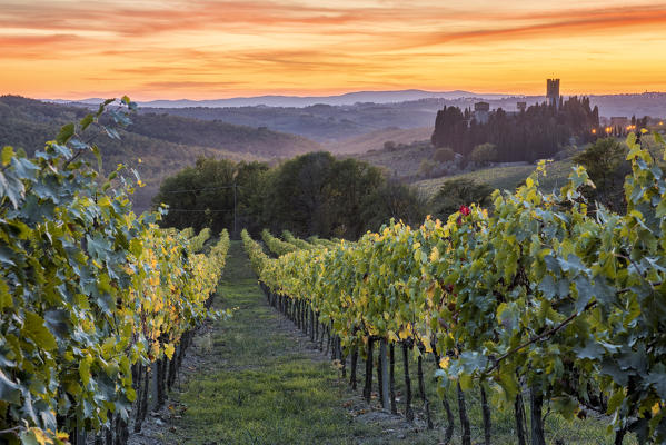 Badia a Passignano at sunset. Tavernelle Val di Pesa, Florence province, Tuscany, Italy