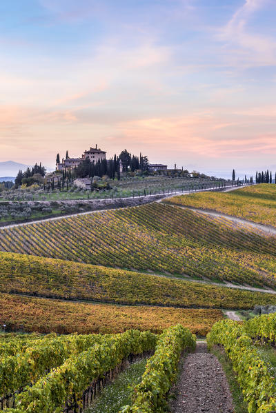 Farmhouse surrounded by vineyards at sunrise. Gaiole in Chianti, Siena province, Tuscany, Italy.