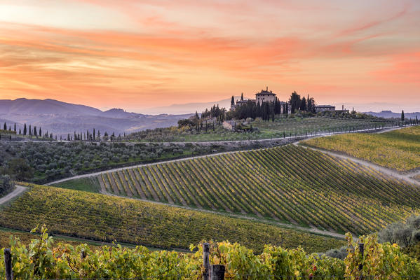 Farmhouse surrounded by vineyards at sunrise. Gaiole in Chianti, Siena province, Tuscany, Italy.