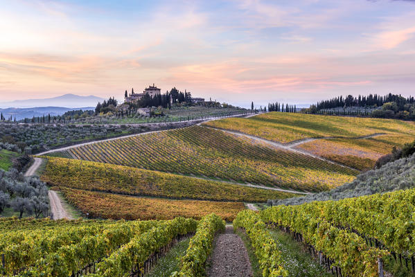 Farmhouse surrounded by vineyards at sunrise. Gaiole in Chianti, Siena province, Tuscany, Italy.