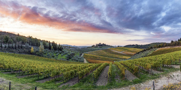 Farmhouse surrounded by vineyards at sunrise. Gaiole in Chianti, Siena province, Tuscany, Italy.