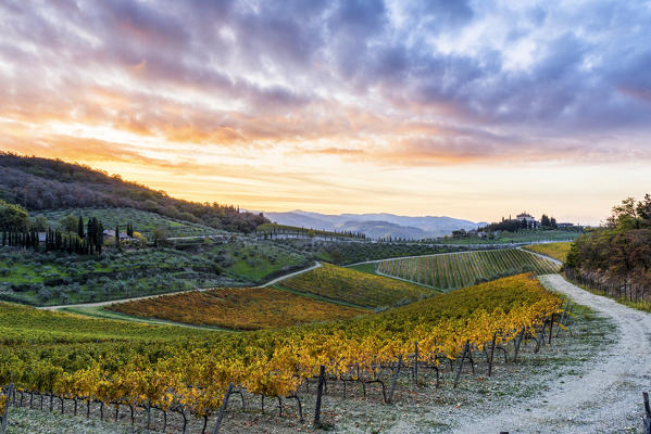 Farmhouse surrounded by vineyards at sunrise. Gaiole in Chianti, Siena province, Tuscany, Italy.