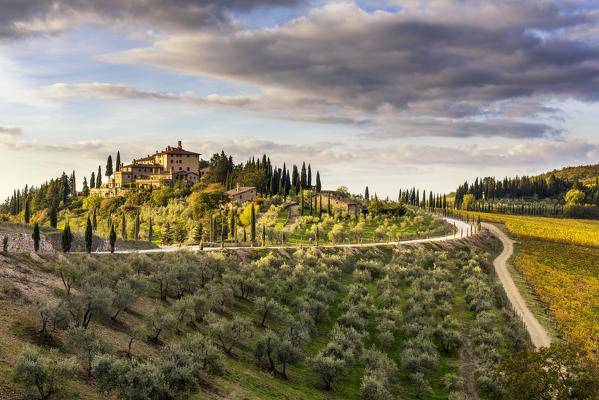 Farmhouse surrounded by vineyards at sunrise. Gaiole in Chianti, Siena province, Tuscany, Italy.