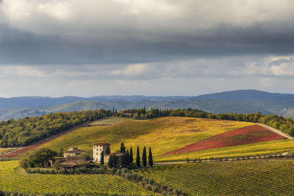 Gaiole in Chianti, Siena province, Tuscany, Italy. The vineyard of Brolio castle