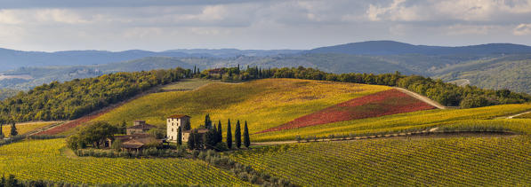 Gaiole in Chianti, Siena province, Tuscany, Italy. The vineyard of Brolio castle