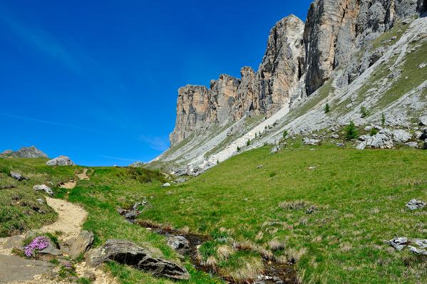 trekking from Passo Giau, Ponta Lastoi de Formin and Spiz de Mondeval, Cortina d'Ampezzo and San Vito di Cadore, Dolomite Alps, Province of Belluno, Veneto Region, Italy