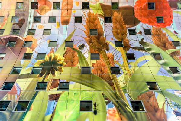 Artwork in Market Hall, Markthal, Binnenrotte square in Rotterdam, Netherlands, Europe
