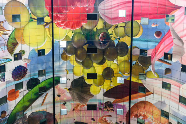 Artwork in Market Hall, Markthal, Binnenrotte square in Rotterdam, Netherlands, Europe

