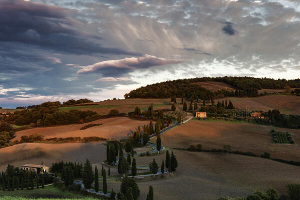 street with cypresses in Monticchiello, monticchiello, Siena, Italy, western europe, europe