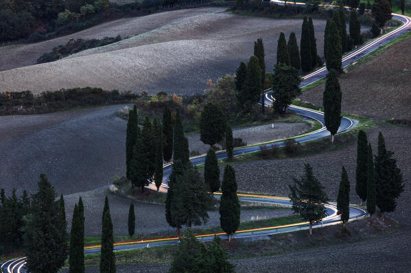 street with cypresses in Monticchiello, monticchiello, Siena, Italy, western europe, europe