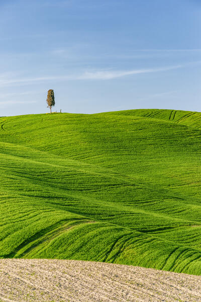 hills of val d'orcia, val d'orcia, pienza, siena, Tuscany, italy
