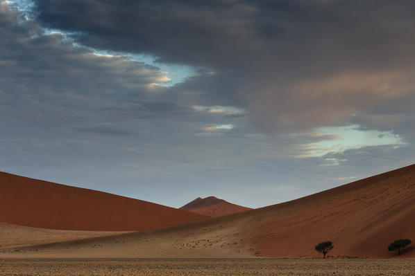 sunset near dune 45,namib-naukluft national park, Namibia, africa