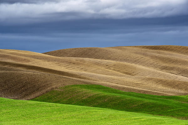 hills of val d'orcia, val d'orcia, pienza, siena, Tuscany, italy