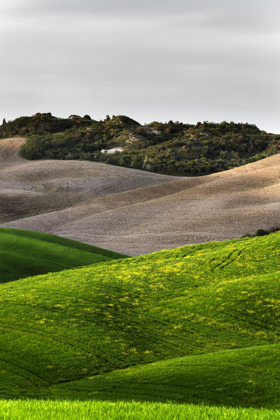 hills of val d'orcin, pienza, siena, Tuscany, Italy