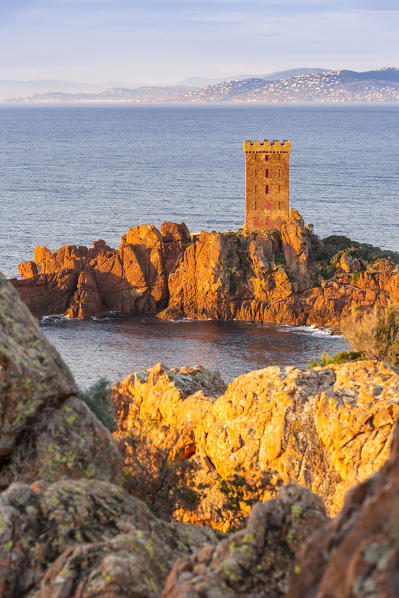 The île d'Or, a private island located at the east of the city of Saint-Raphaël, viewed from Cap Dramont at sunrise, Var department, Provence-Alpes-Côte d'Azur region, France