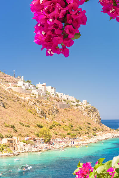 Turquoise sea color at Limeni framed by purple blooming flowers, Mani region, Peloponnese, Greece, Europe