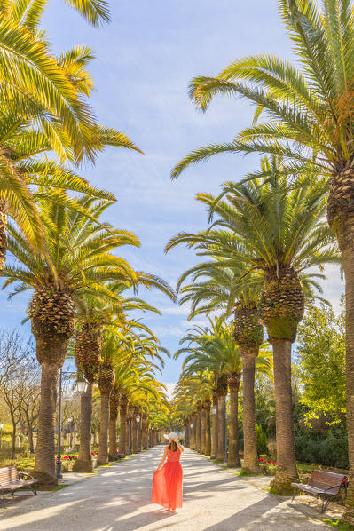 Woman in a salmon pink dress walking along an avenue lined with palms trees in the public Ibleo Garden, Ragusa Ibla,Ragusa, Sicily, Italy  (MR)