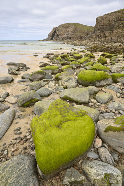 close up of stones covered by seaweed, Dailbeag beach, Isle of Lewis, western scotland,United Kingdom