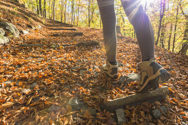 close up of hiking boots on a pathway hidden under the leaves, Val Vigezzo, Verbano Cusio Ossola province, Piedmont, North italy, Italy