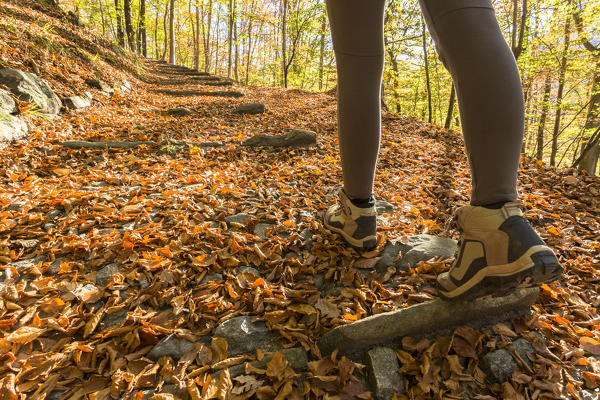 close up of hiking boots on a pathway hidden under the leaves, Val Vigezzo, Verbano Cusio Ossola province, Piedmont, North italy, Italy