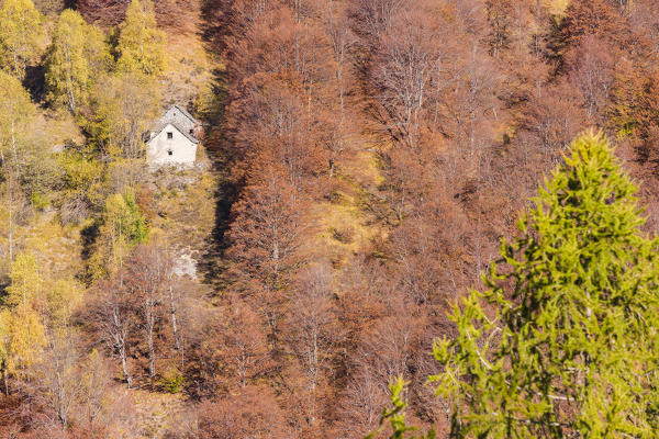 Isolated house hidden among colorful trees in autumn,  Val Vigezzo, Verbano Cusio Ossola province, Piedmont, North italy, Italy