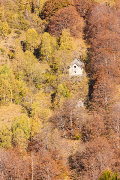 Isolated house hidden among colorful trees in autumn,  Val Vigezzo, Verbano Cusio Ossola province, Piedmont, North italy, Italy