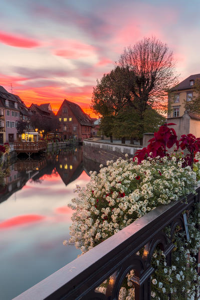Petit Venice at sunset, Colmar, Haut-Rhin department, Grand Est region, Alsace, France