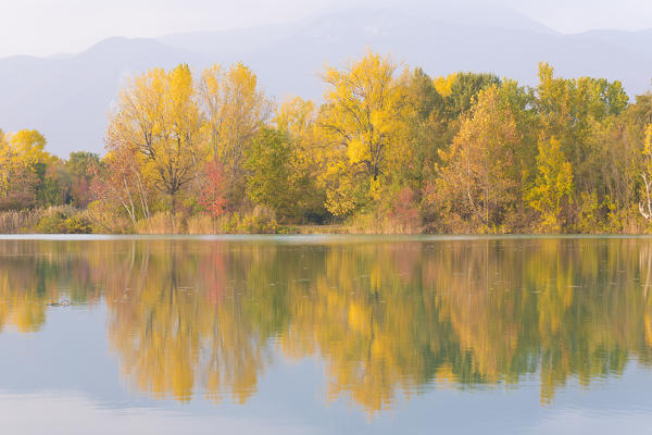 Torbiere del Sebino Natural Reserve, Iseo lake,Brescia province, Lombardia, Italy