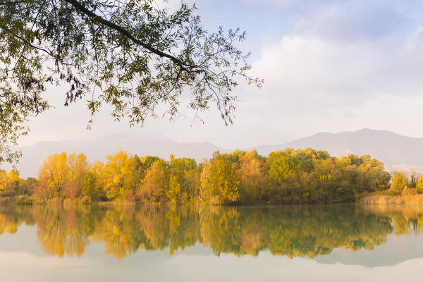 Torbiere del Sebino Natural Reserve, Iseo lake,Brescia province, Lombardia, Italy