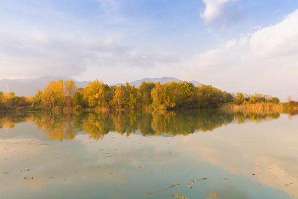 Torbiere del Sebino Natural Reserve, Iseo lake,Brescia province, Lombardia, Italy