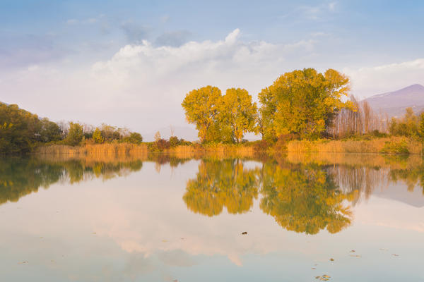 Torbiere del Sebino Natural Reserve, Iseo lake,Brescia province, Lombardia, Italy