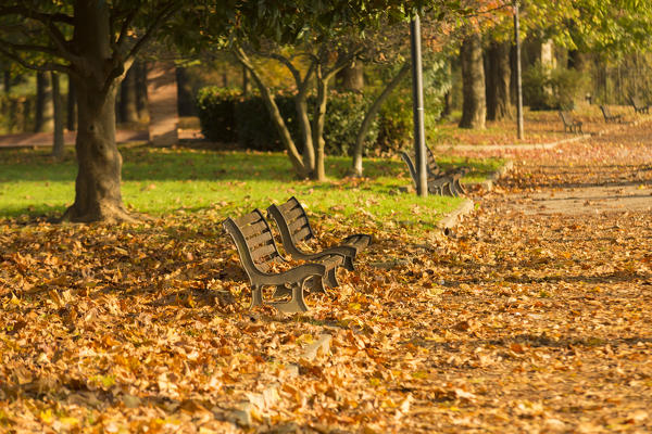 A couple of benches on Adda riverside, Brivio, Lecco province, Lombardy, italy