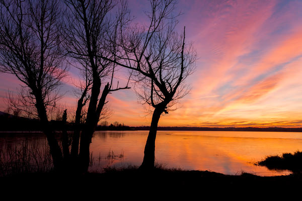 Silouhette of trees on the lakefront of Civate at sunset, Annone Lake, Lecco province, Lombardy, italy