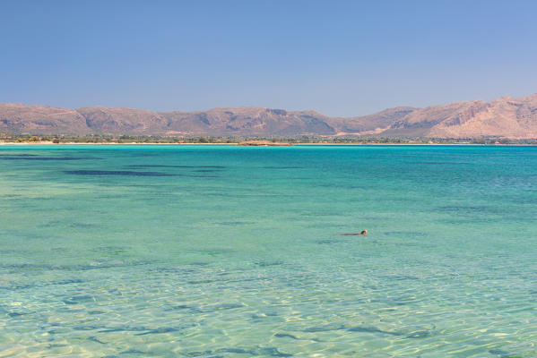 A specimen of Caretta Caretta turtle in the crystal water near Elafonissos coasts, Elafonissos, Laconia region, Peloponnese, Greece, Europe