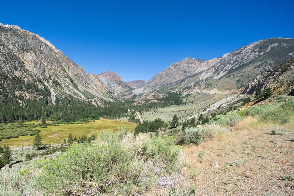 The Road to Tioga Pass, Sierra Nevada, California, North America, USA