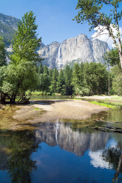 Yosemite Falls reflected in Merced River, Yosemite Valley, Yosemite National Park; Sierra Nevada, California, North America, USA